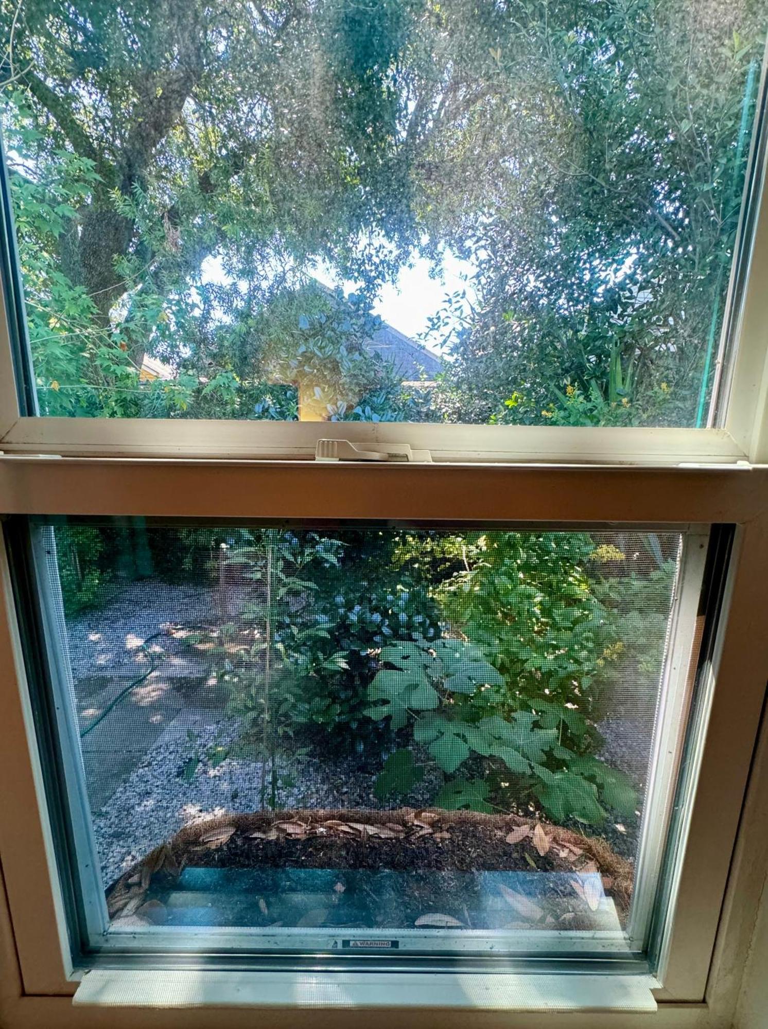 One Bedroom Apartment With Hot Tub 2 Blocks To Magazine Street Νέα Ορλεάνη Εξωτερικό φωτογραφία