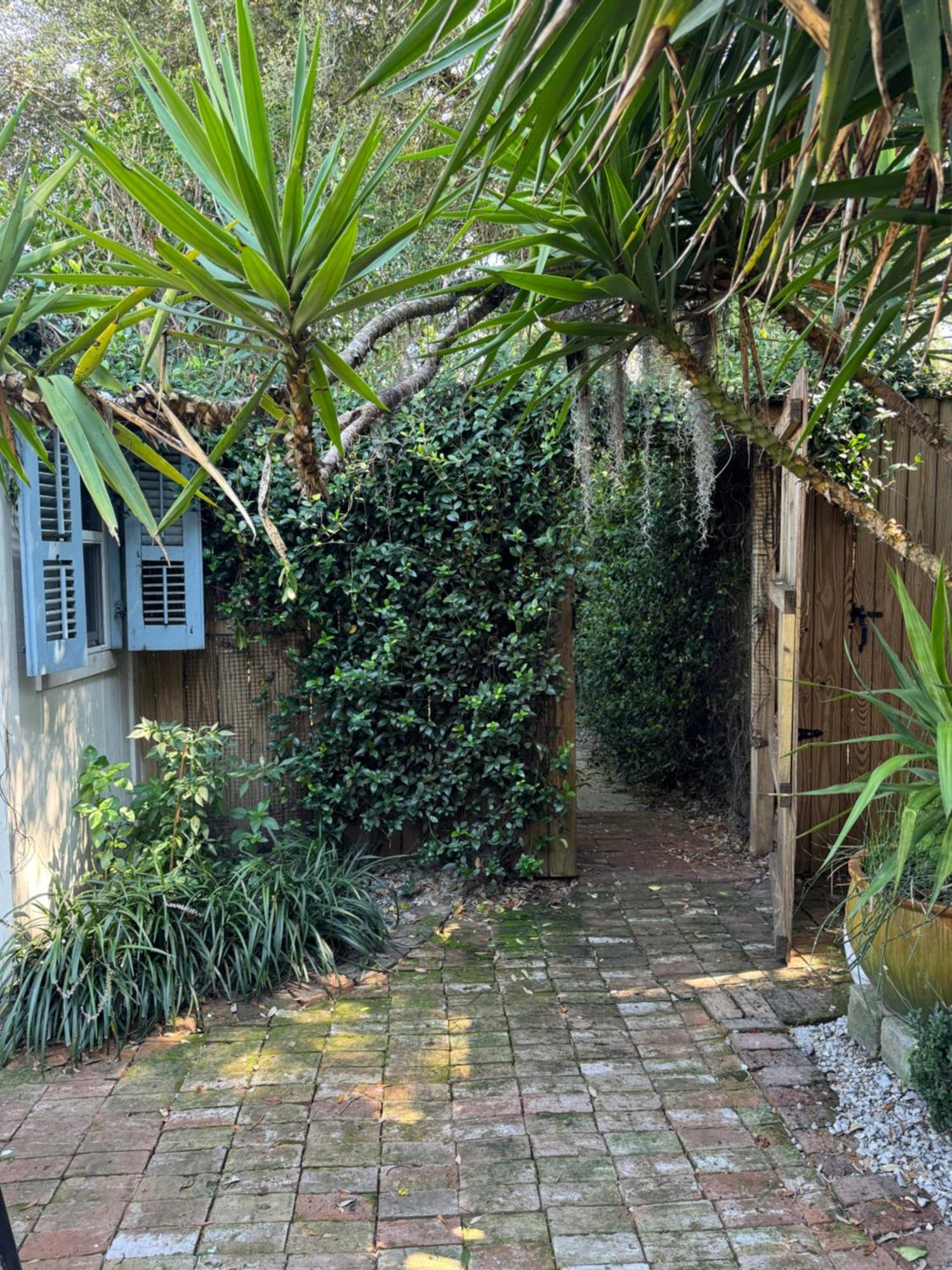One Bedroom Apartment With Hot Tub 2 Blocks To Magazine Street Νέα Ορλεάνη Εξωτερικό φωτογραφία